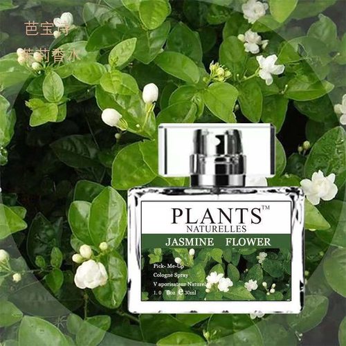 薰衣草香水女士持久留香栀子花清新淡香法国茉莉桂花味正品礼盒装 - 图2