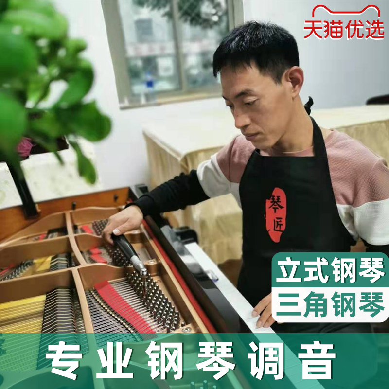 苏州钢琴调音 钢琴调律维修服务 专业调音师调律师调琴师上门服务 - 图1