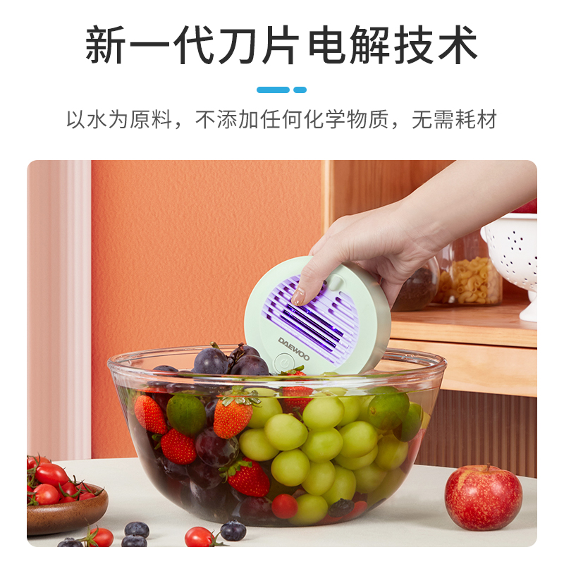 DAEWOO/大宇无线家用除农残细菌洗菜机全自动果蔬食材净化器