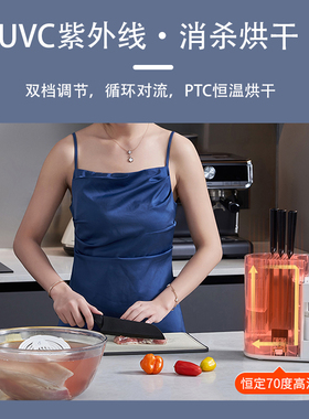 大宇双仓果蔬净化器刀具架一体机