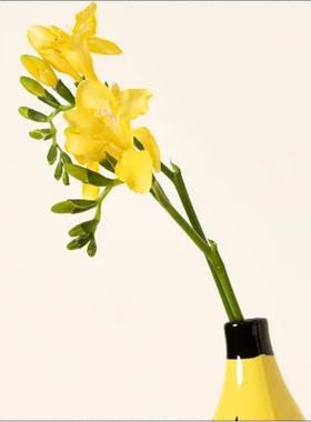 跨境新款简约香蕉花瓶插花创意家居客厅餐厅装饰摆件树脂工艺品