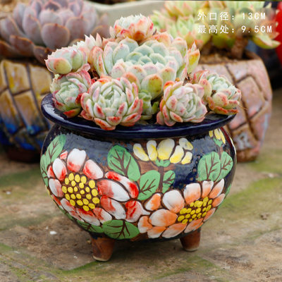 若兰坊群生盆手绘大口径拼盘粗陶多肉花盆陶瓷花盆特价 虎窝淘