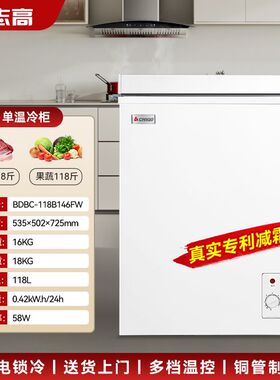 志高小冷柜家用铜管制冻