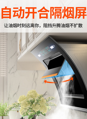大吸力抽油烟机厨房双电