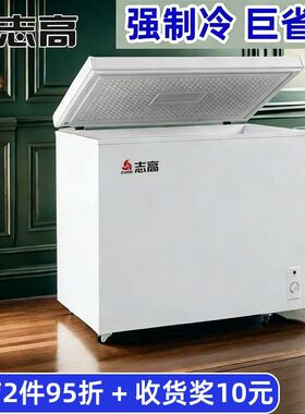 志高大容量冰柜家用商用