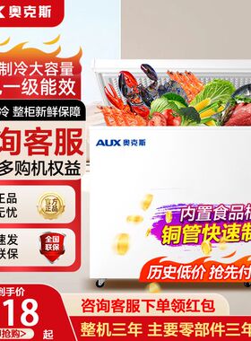 奥克斯冰柜冷藏冷冻两用