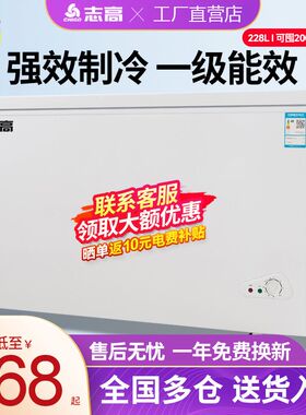 志高冰柜家用小型大容量