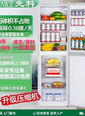 先科26新款一级能效冰箱