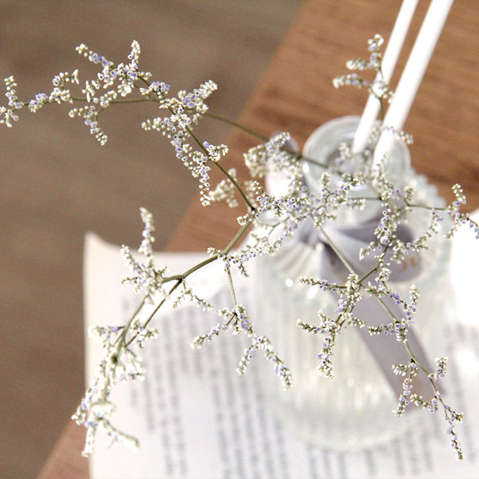 室内无火家用空气清新剂卫生间香氛 kiyigift香熏香料