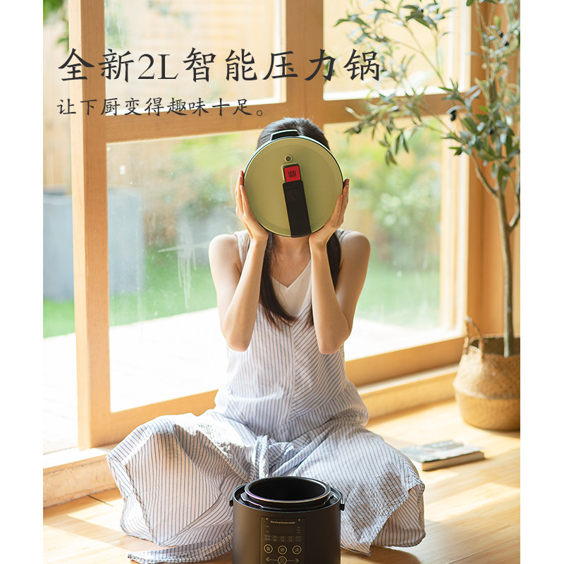 olayks迷你电小家用多功能高压力锅 olayks中山电压力锅