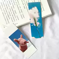 书签制作推荐品牌 新人首单立减十元 21年6月 淘宝海外