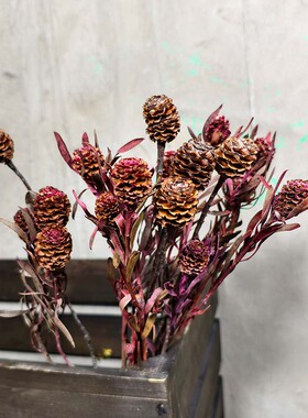 栀子果蔷薇果干花花束