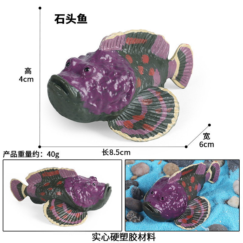 儿童科教实心海洋生物鱼仿真翻车鱼河鲀模型翻车鱼蜇鱼太阳鱼玩具 - 图3