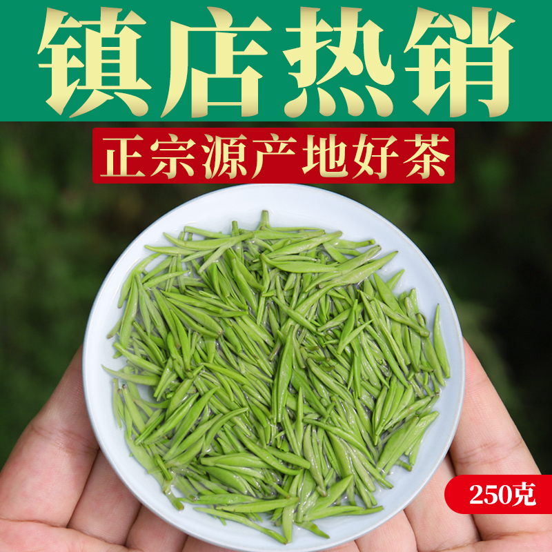 静香毛尖茶叶2024新茶信阳毛尖雨前特级嫩芽高山绿茶浓香250g散装 - 图3