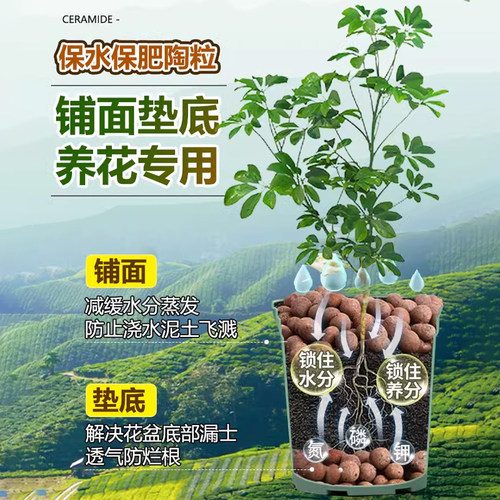 陶粒垫底养花专用多肉营养土花盆花卉回填鱼缸水培铺面火山石颗粒 - 图0