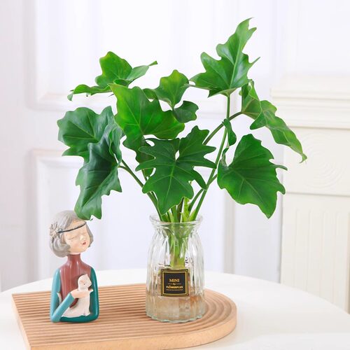 水培植物春羽盆栽蔓绿绒室内龟背竹春雨绿植常青绿萝好养办公桌面 - 图3