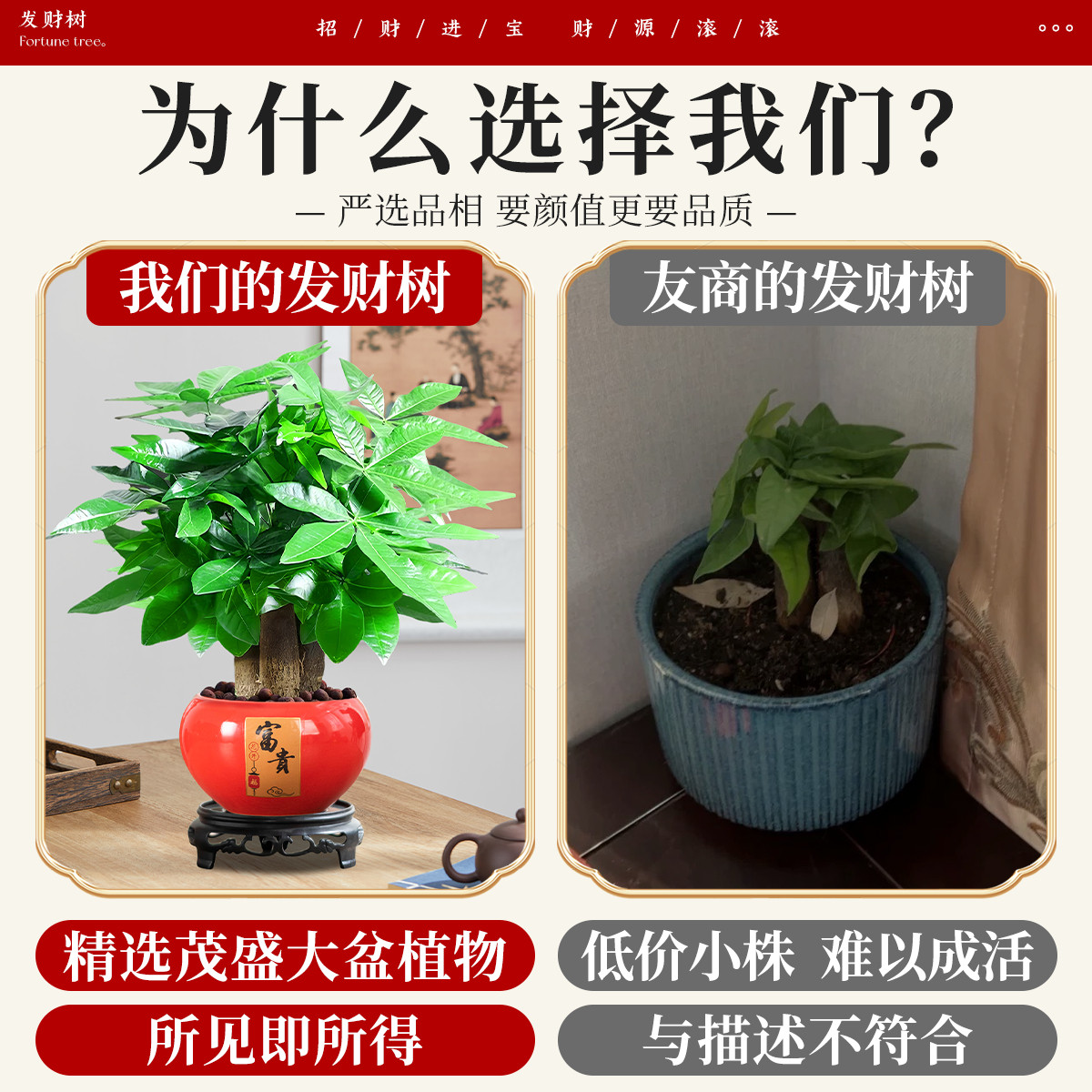 发财树客厅大盆栽室内绿植物四季好养开业送礼招财旺宅办公室摆件,淘宝优惠券,粉丝福利购,淘宝优惠卷