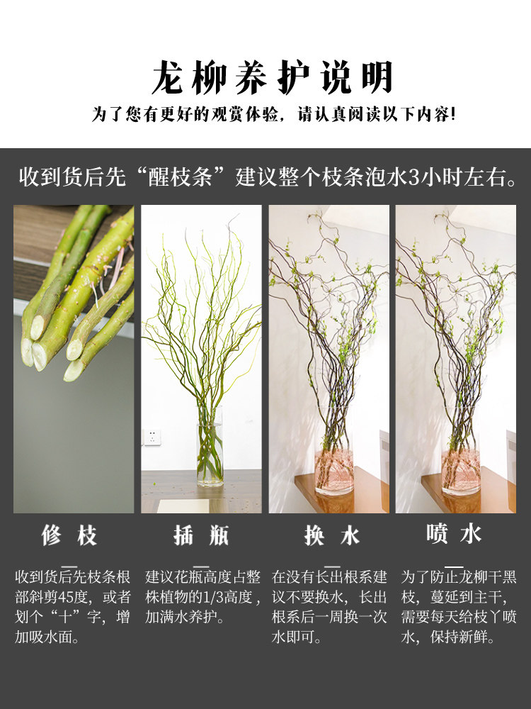 龙柳鲜枝插花客厅水培植物花卉室内鲜花四季好养活水养干枝支雪柳 - 小编推荐 - WePost 全民代运 - 马来西亚中国淘宝代运与集运专家