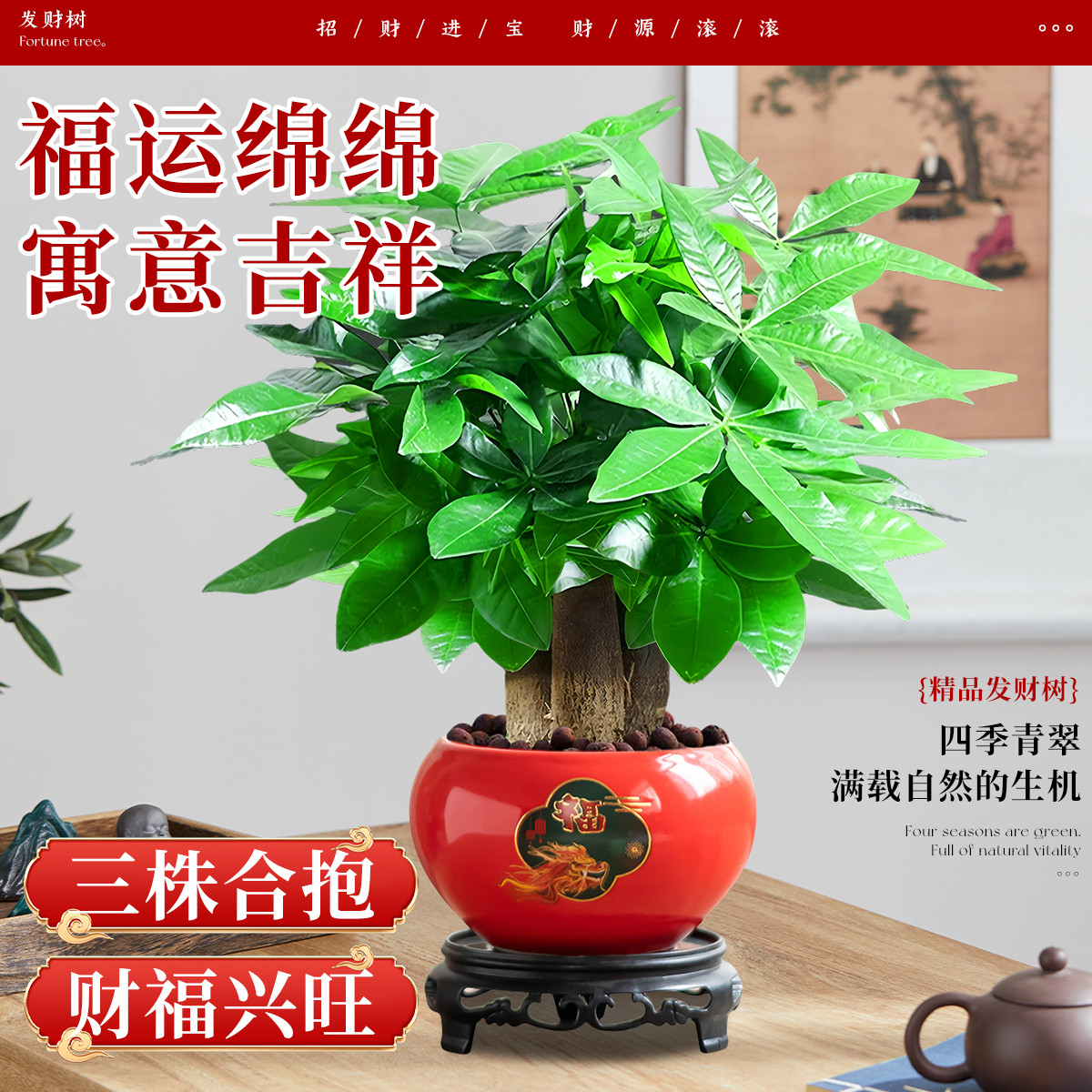 发财树客厅大盆栽室内绿植物四季好养开业送礼招财旺宅办公室摆件,淘宝优惠券,粉丝福利购,淘宝优惠卷