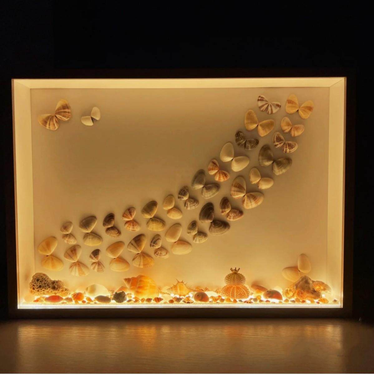 木质中空立体画框手工创意贝壳海螺标本干花大尺寸手办展示框,淘宝优惠券,粉丝福利购,淘宝优惠卷