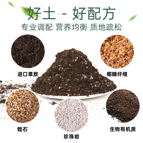 多肉营养土种菜蔬菜通用型种植花土壤盆栽种花泥土家用珍珠岩韭菜 - 图1