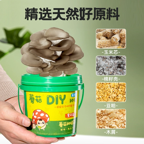 Грибные культивирование сумка черная планета грибные грибные грибные грибные грибные бактерий -бактерий самообеспечение