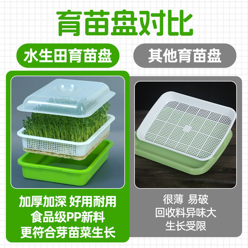 豆芽发芽盆芽苗菜育苗托盘无土栽培水培蔬菜设备豌豆种植芽菜豆苗 - 图1