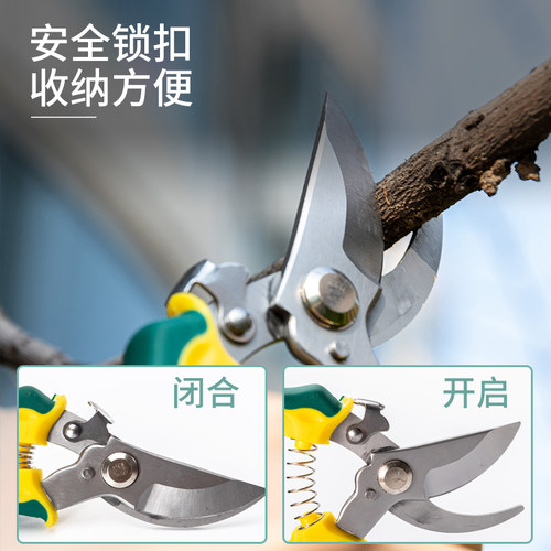 园艺剪刀园林强力果树摘果花艺剪刀修枝剪花粗枝神器树枝家用剪子 - 图3