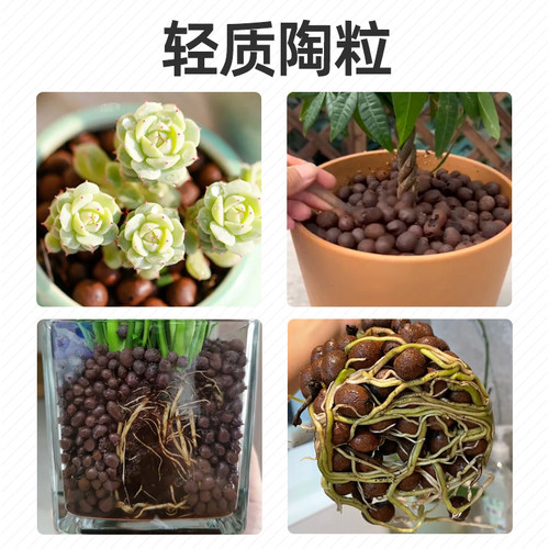 陶粒垫底陶粒养花专用花盆养花种花用的彩色回填颗粒土多肉营养土 - 图2