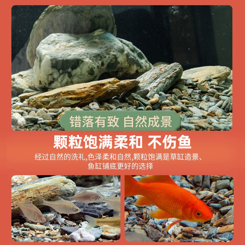 溪流石天然鱼缸底部砂石造景摆件彩色底砂乌龟原生态大块石头铺底,淘宝优惠券,粉丝福利购,淘宝优惠卷