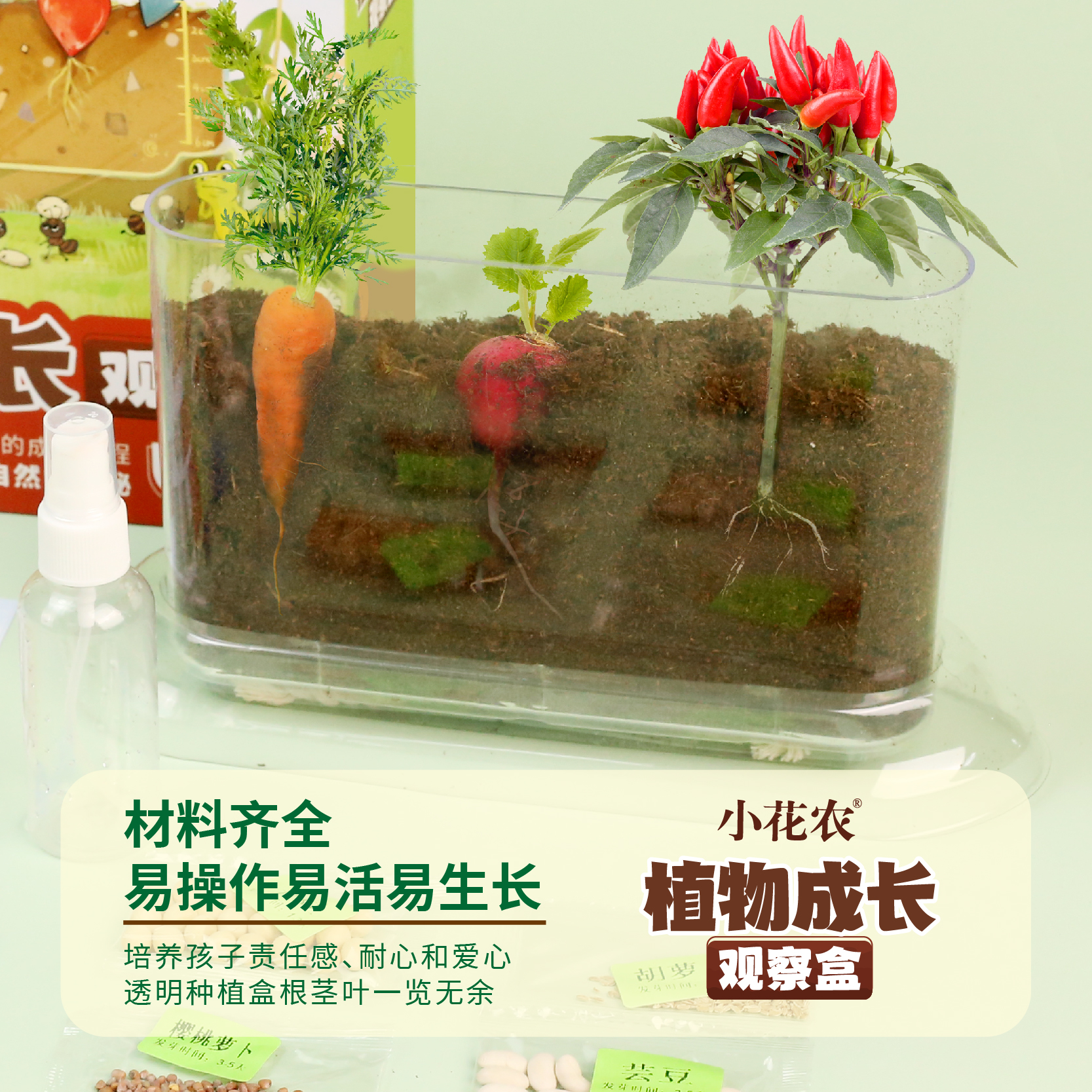 儿童种植小盆栽小农场发芽小植物小花农迷你小农场根系生长观察窗 - 图3