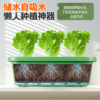 Special pot for growing vegetables on balcony Extra large flower box planting box