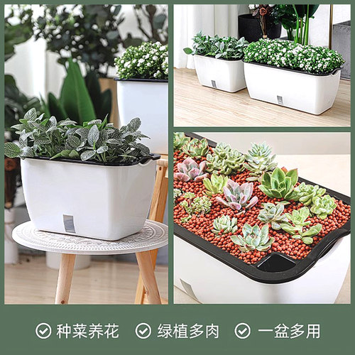 种菜神器花盆栽蔬菜种植箱家庭阳台塑料自吸水懒人长方形专用箱大 - 图2