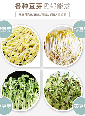 豆芽机家用神器家庭小型