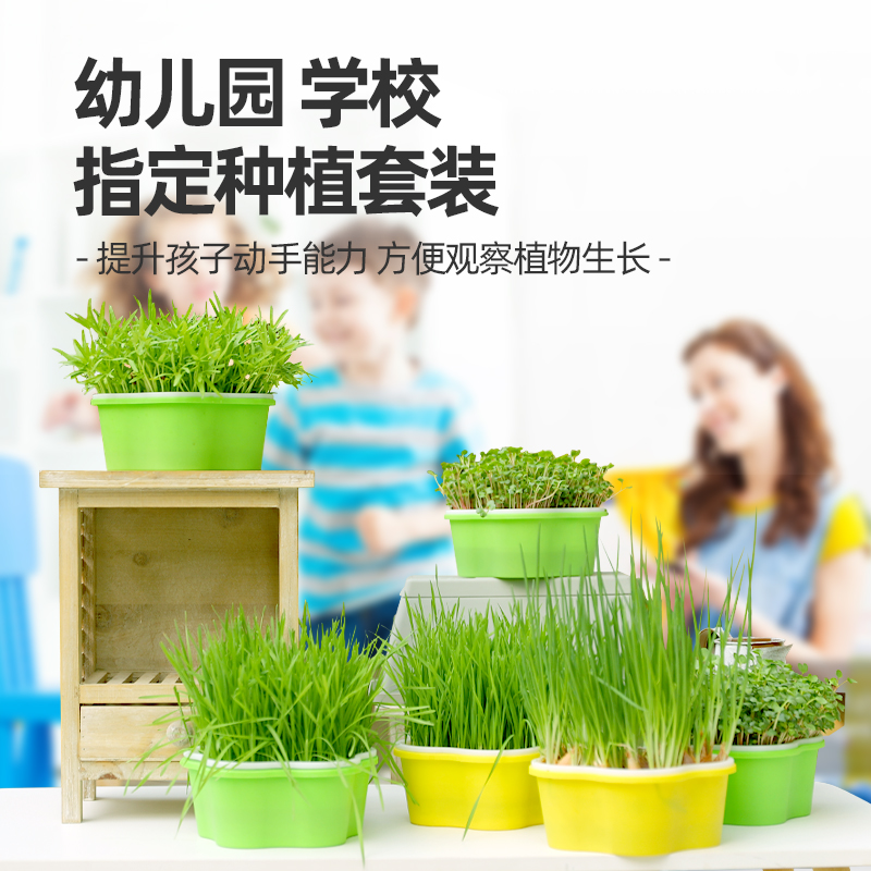 儿童种植小盆栽幼儿园学生观察水培diy 农场创意迷你植物观察生长 - 图3