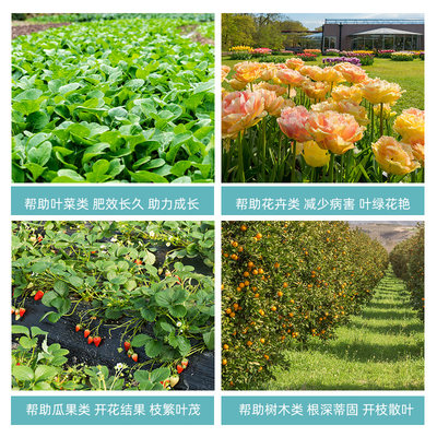 羊粪发酵有机肥鸡粪肥料蔬菜用花卉专用养花农家颗粒羊粪蛋鸡粪 虎窝淘