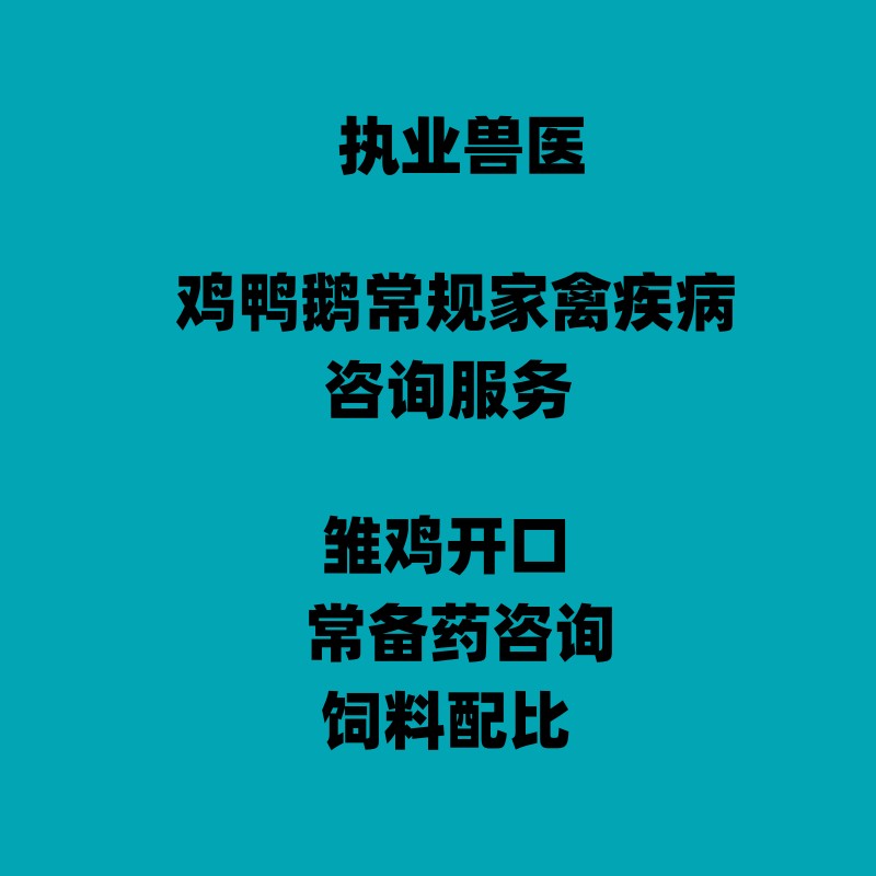 执业兽医老兽医常规鸡鸭鹅宠物家禽疾病腹泻白痢雏鸡开口咨询服务