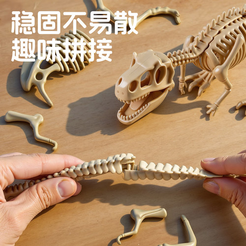 恐龙化石二年级下册考古挖掘玩具儿童拼装霸王龙石膏骨架模型男孩 - 图3