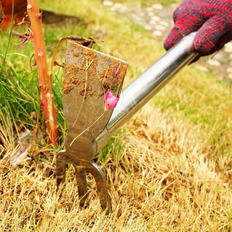 不锈钢两用锄头除草耙子农具种菜种地铲子小锄头花锄农用园艺工具