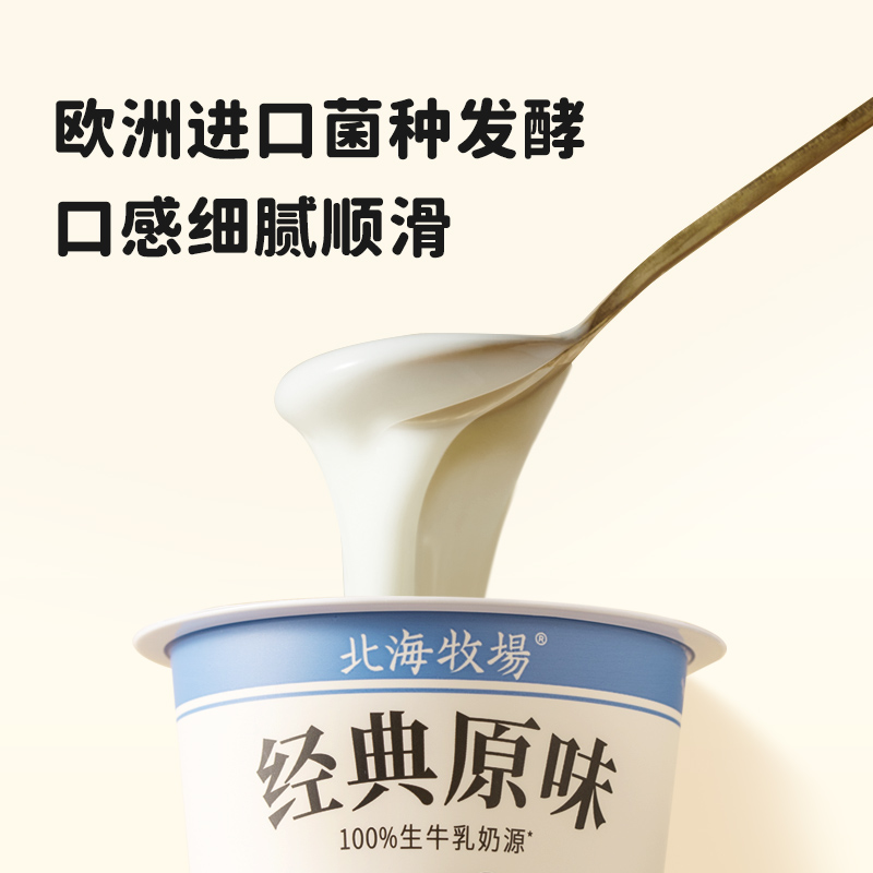 北海牧场低温酸奶纯牛奶经典小白杯原味发酵乳100g*12风味发酵乳