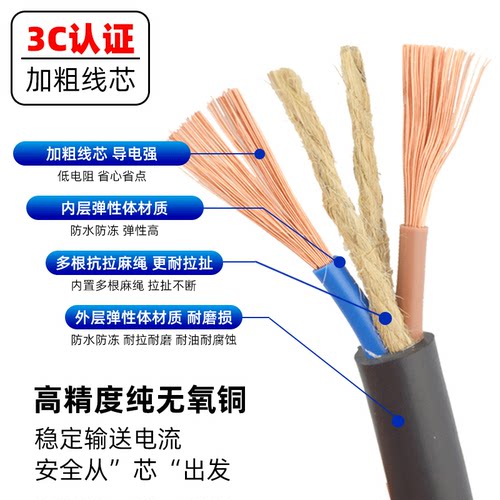 远通电线两芯国标纯铜家用户外电线防水防冻插排线电车充电延长线 - 图2