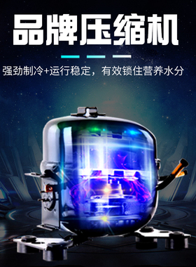 中雪四门厨房冷柜商用冰箱立式