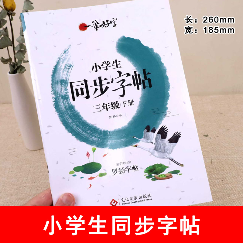 小学生练字帖同步三年级下册 语文楷书练字本笔画笔顺同步练习册钢笔儿童描红硬笔书法每日一练专用写字帖一笔好字 罗扬字帖 - 图0