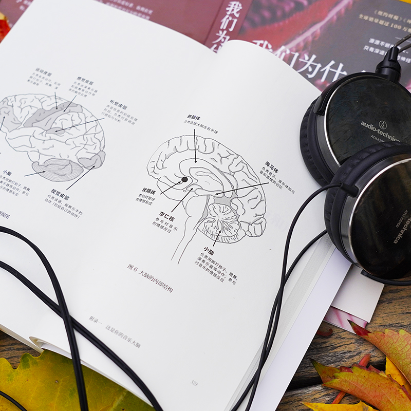 我们为什么爱音乐：生而聆听的脑科学原理 - 图2