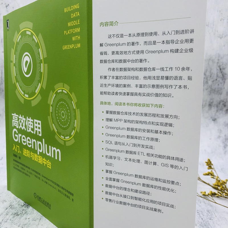 使用Greenplum：入门 进阶与数据中台 - 图2