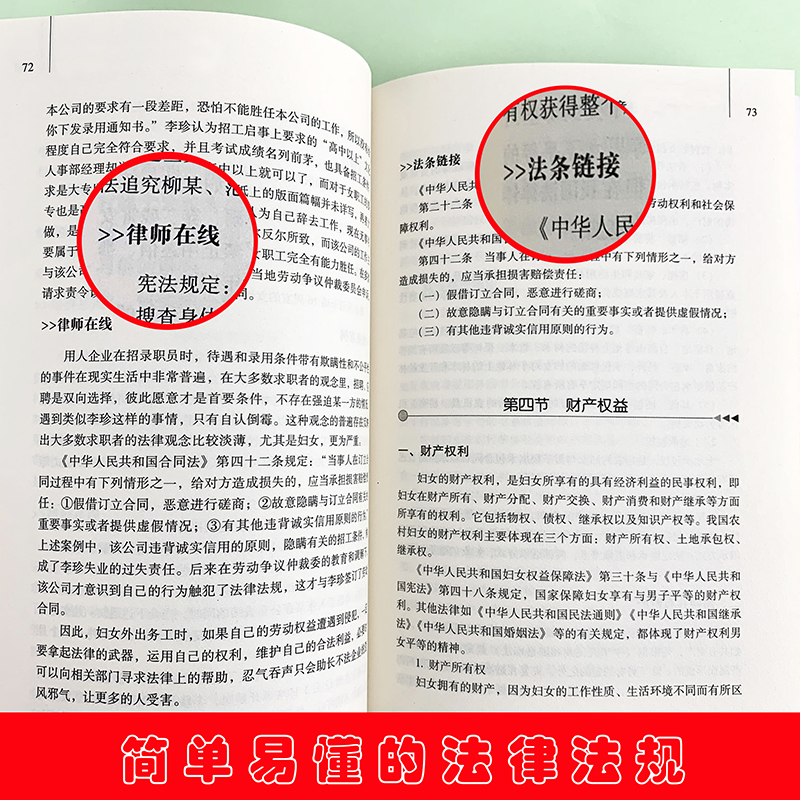 法律行为百科全书-知识产权纠纷法律常识 法律常识基础知识认知  知识产权纠纷法的基本法律法规 普通人一读就懂的法律知识全知道 - 图1