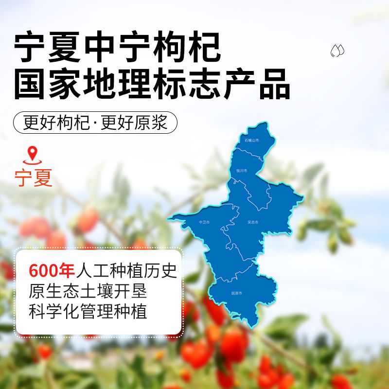 仁慈缘枸杞原浆宁夏鲜枸杞果汁原液便携袋散装中宁构纪旗舰店官方