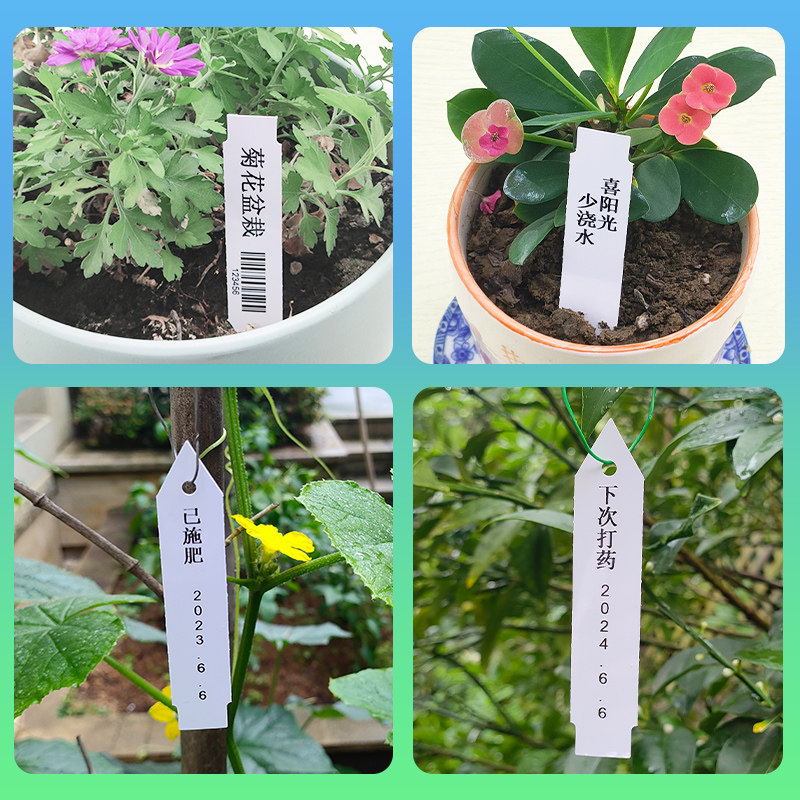 园艺标签插牌植物花牌苗木挂牌多肉盆栽花盆标记户外防水树木标识牌塑料吊牌一字插地牌农业记号卡育苗打印纸,淘宝优惠券,粉丝福利购,淘宝优惠卷