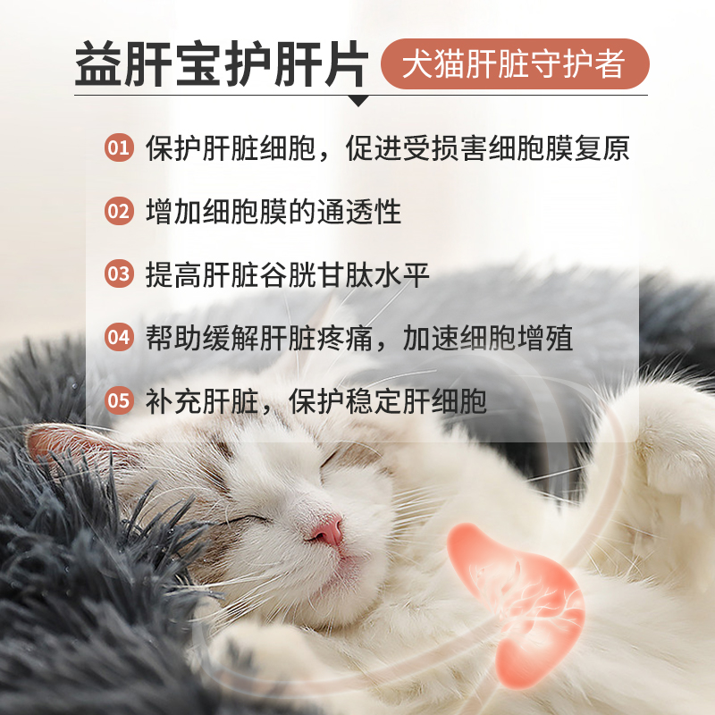 朗博特猫咪护肝片狗狗保肝宠物黄疸腹水肝脏受损猫传腹脂肪大蓟
