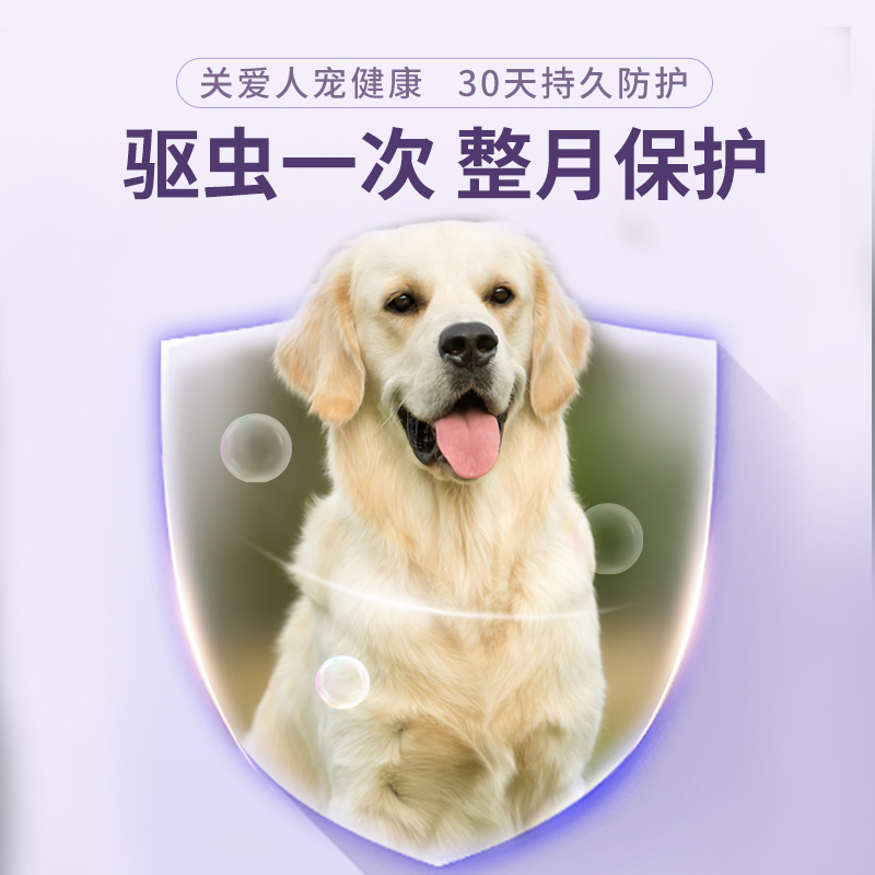 朗博特狗狗驱虫药猫咪宠物体内外一体犬用跳蚤耳螨朗宠清体外滴剂 - 图2